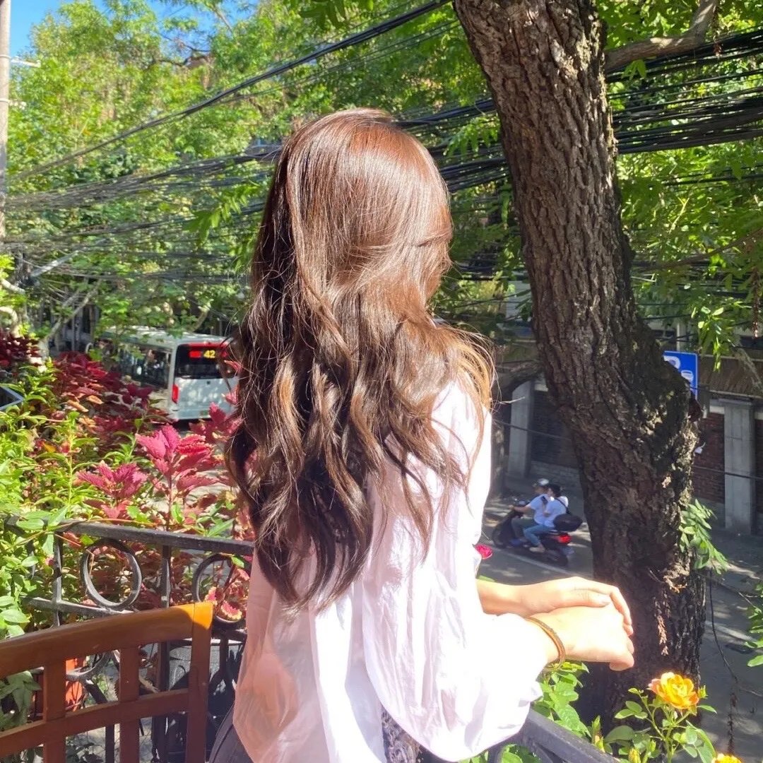 驯荒记